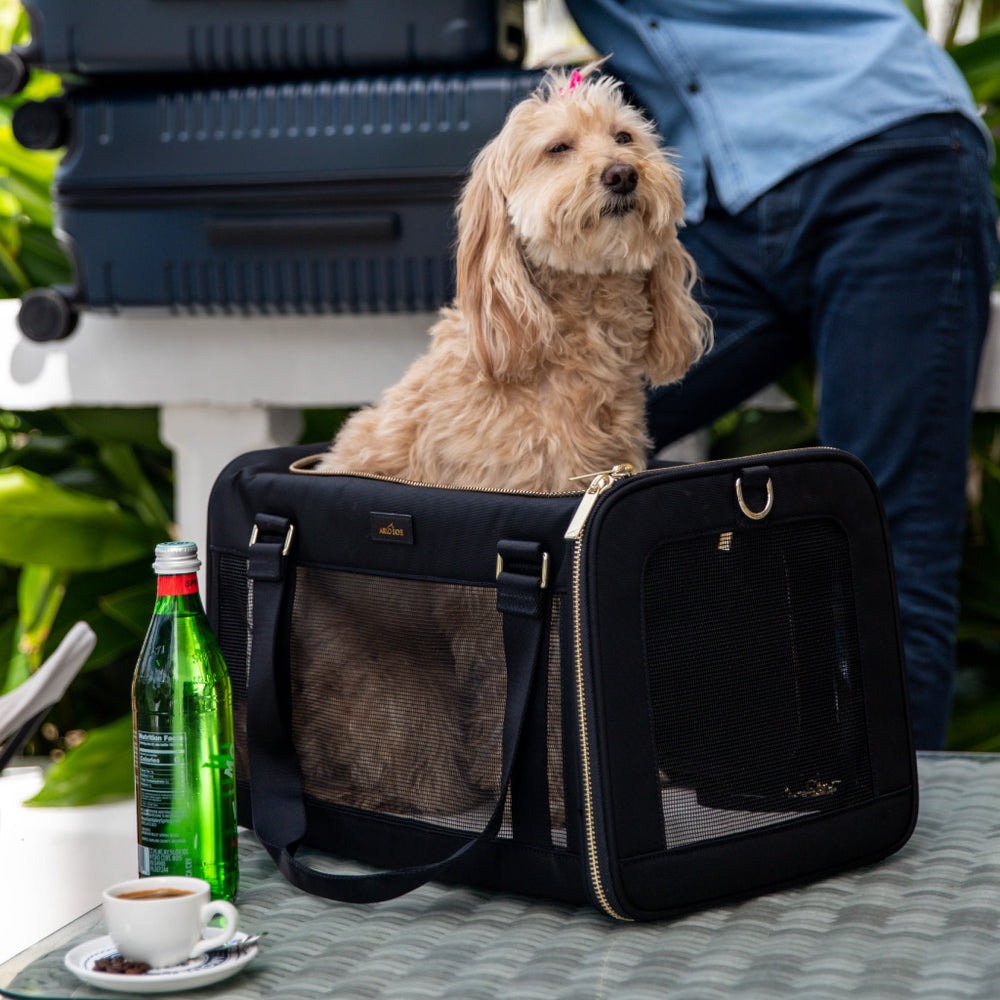Hersteller von Haustiertransportboxen