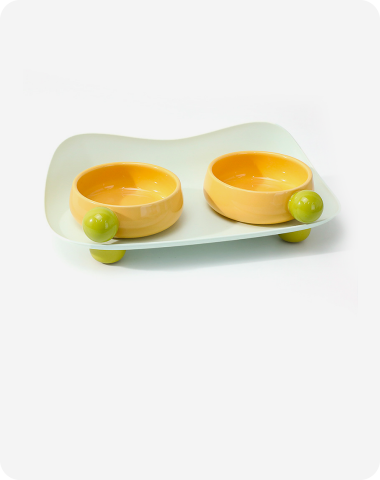 Bols et mangeoires pour animaux de compagnie