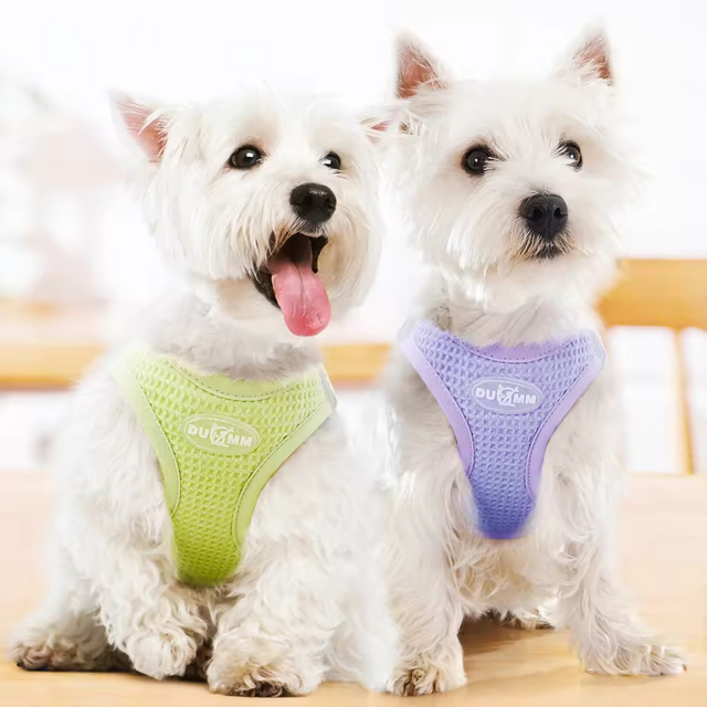 Arn&eacute;s para mascotas transpirable XSPH-0067