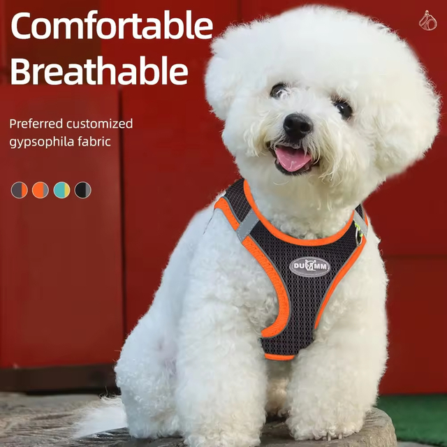 Arn&ecirc;s confort&aacute;vel para animais de estima&ccedil;&atilde;o XSPH-0066