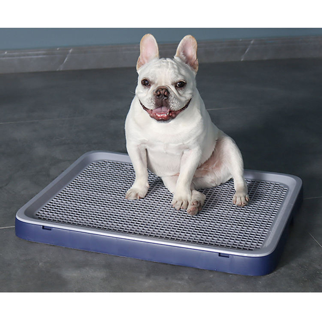 Robuste Hundetoilette f&uuml;r den Haushalt XSPW-0003